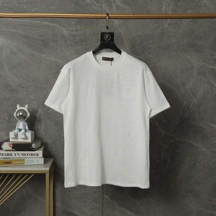 Loro Piana T Shirts Short _SKULoroPianaM-2XLaztxQ748737